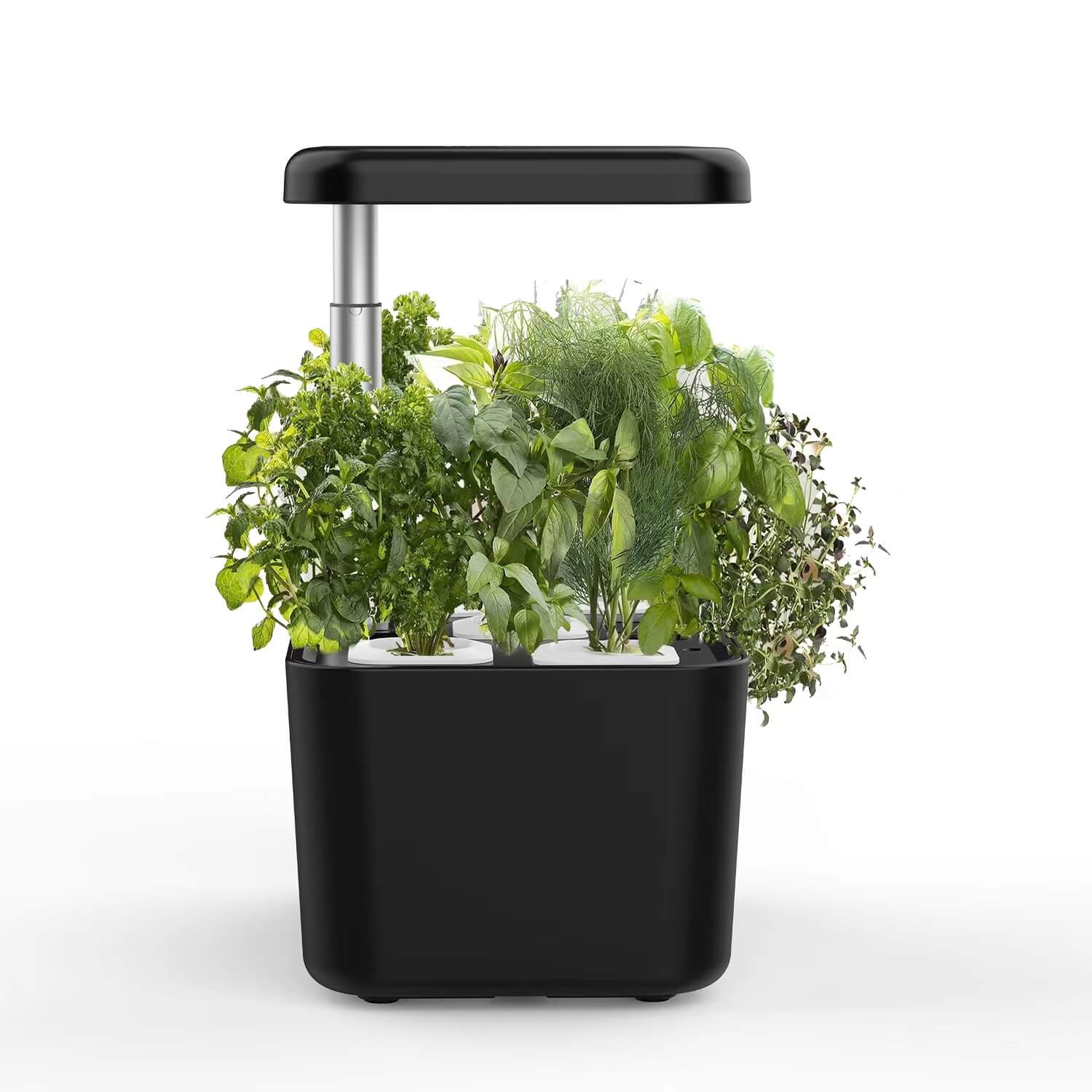 Vergarden Nano Widok 4