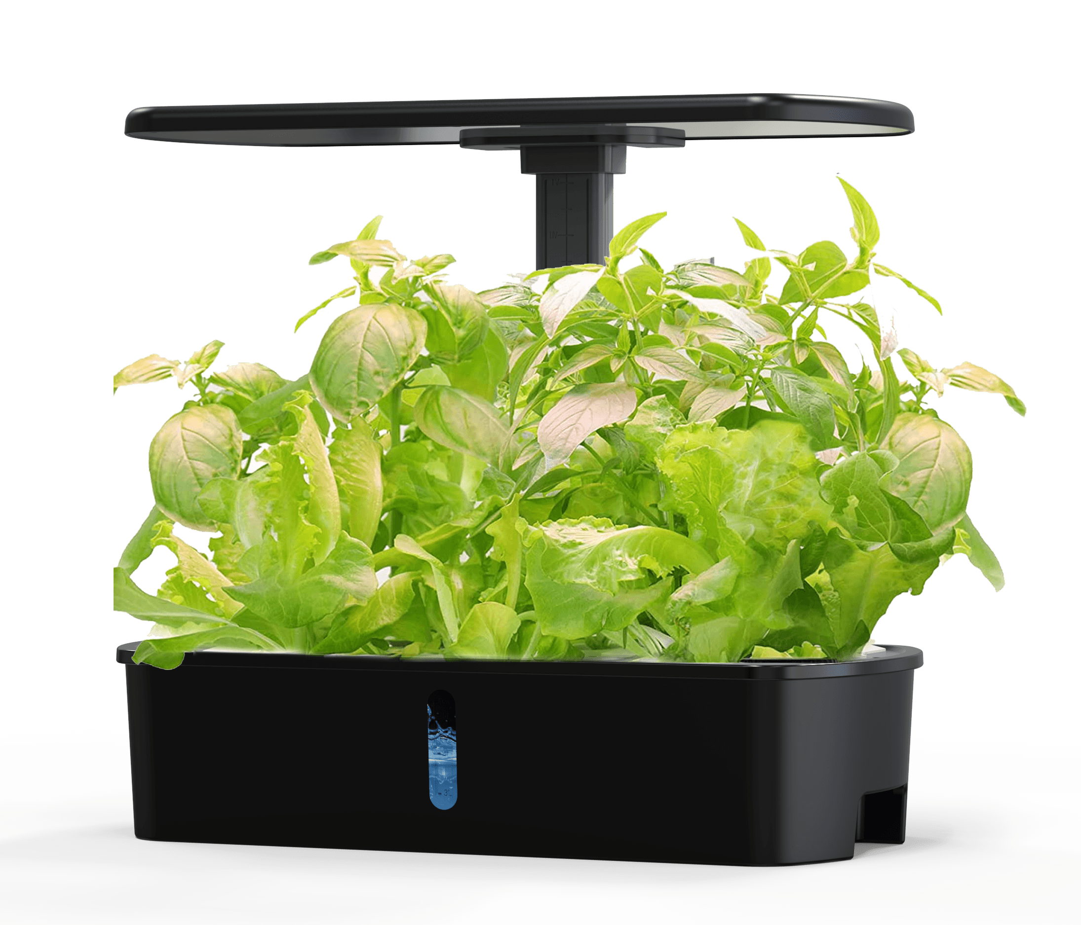 Vergarden Air Widok 2