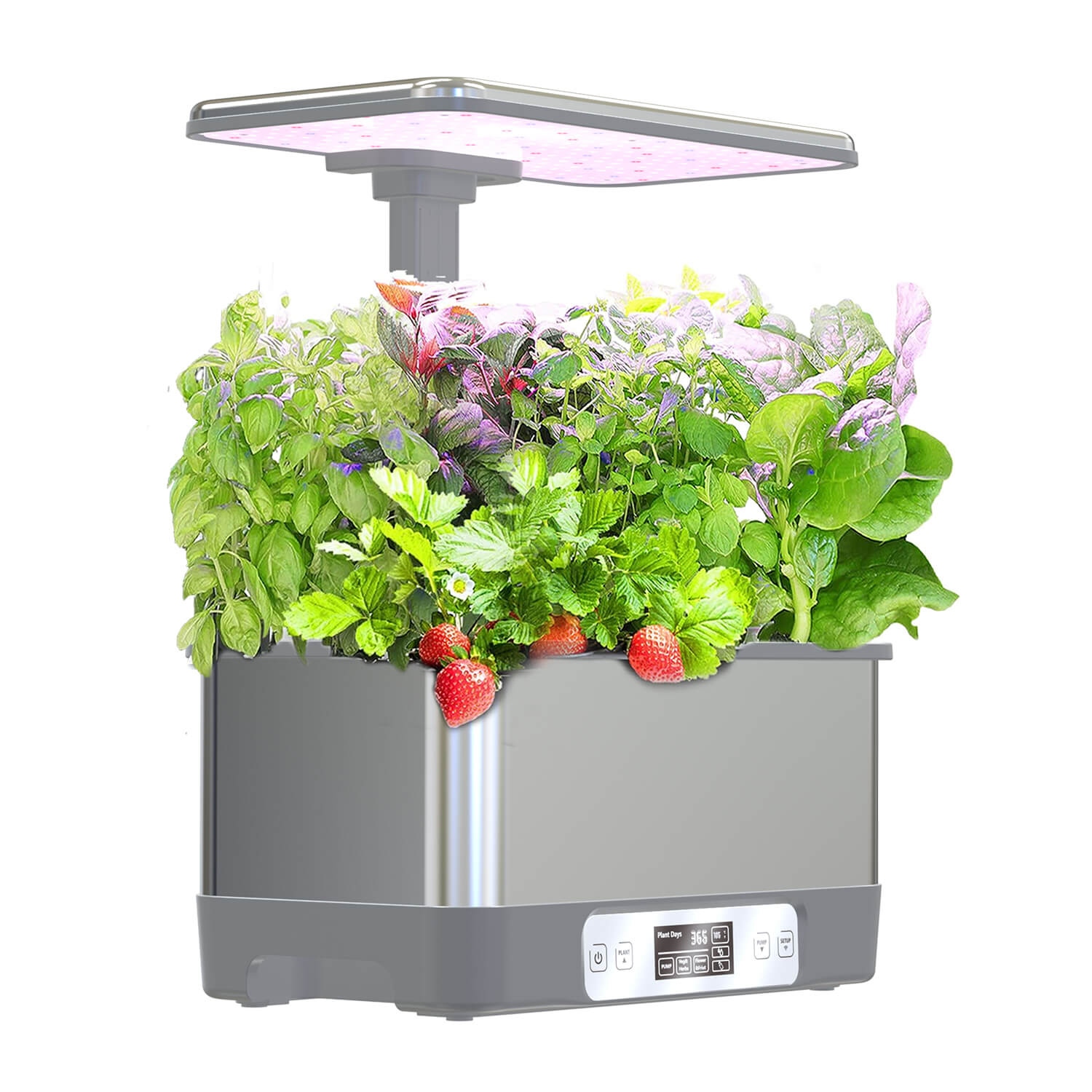 Vergarden Max Widok 2