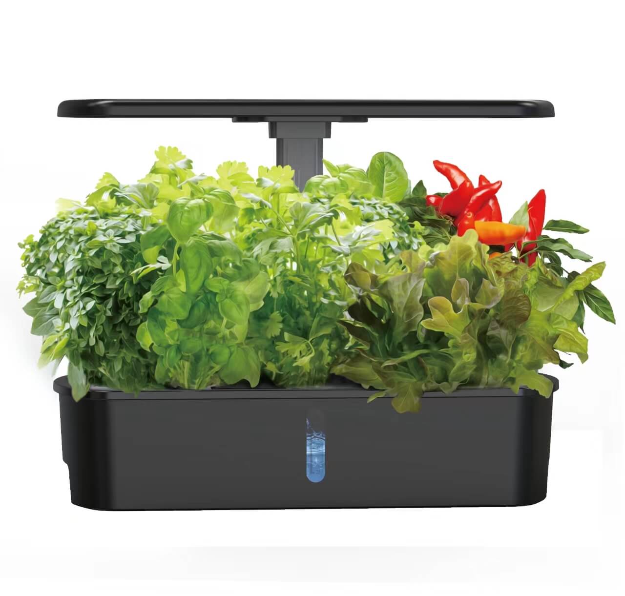 Vergarden Air
