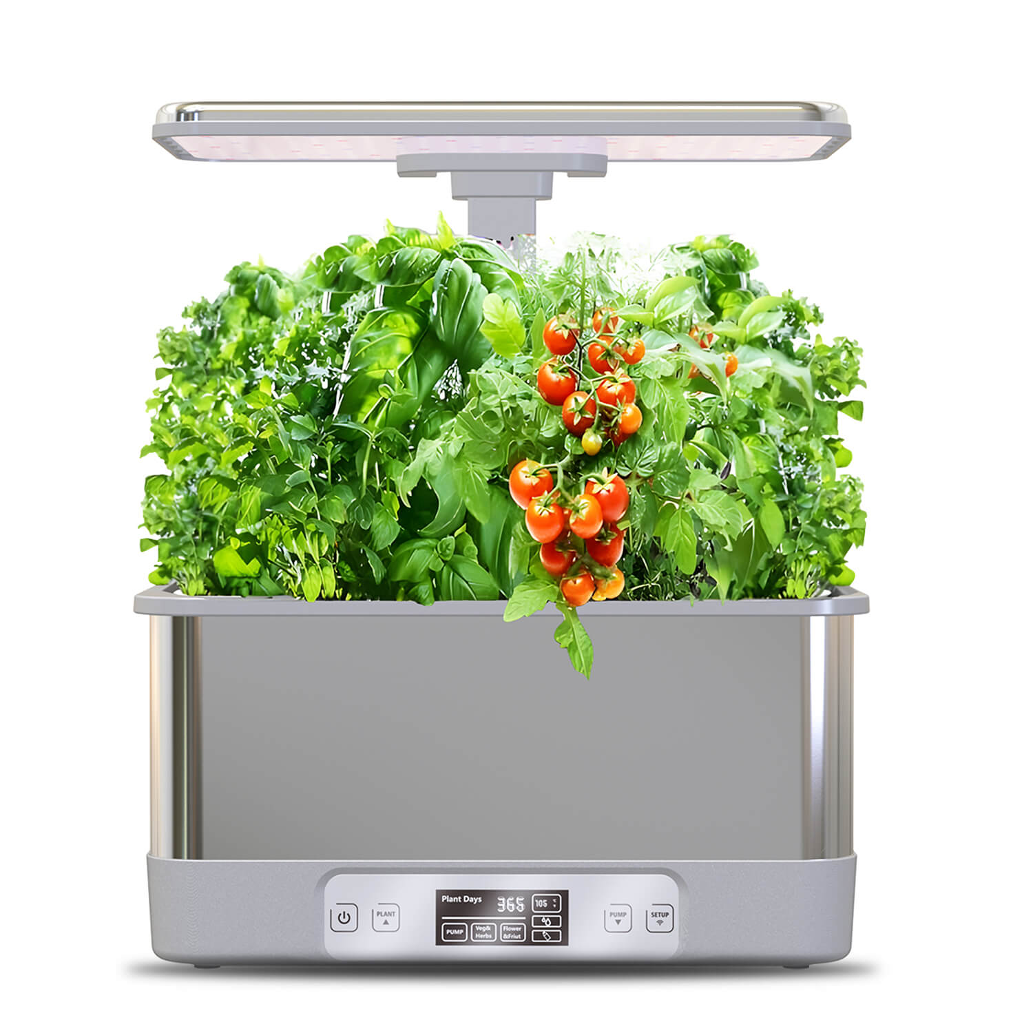 Vergarden Max